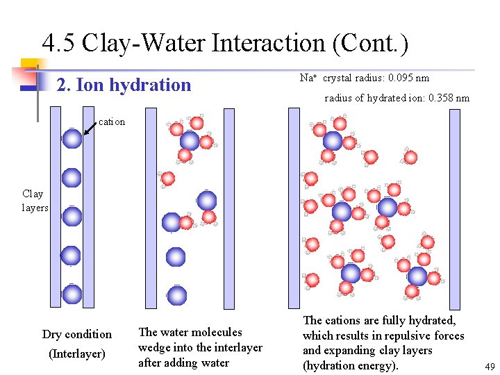 4. 5 Clay-Water Interaction (Cont. ) 2. Ion hydration Na+ crystal radius: 0. 095 4. 5 Clay-Water Interaction (Cont. ) 2. Ion hydration Na+ crystal radius: 0. 095