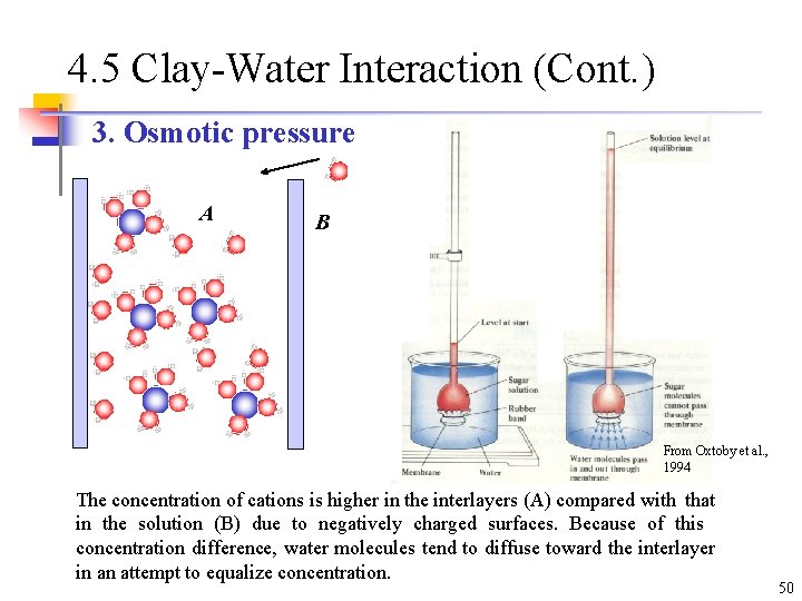 4. 5 Clay-Water Interaction (Cont. ) 3. Osmotic pressure A B From Oxtoby et 4. 5 Clay-Water Interaction (Cont. ) 3. Osmotic pressure A B From Oxtoby et