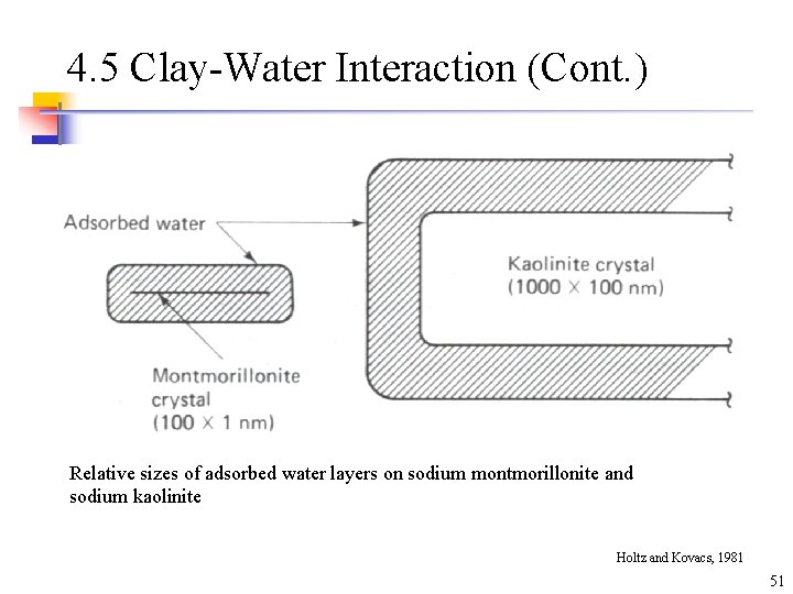 4. 5 Clay-Water Interaction (Cont. ) Relative sizes of adsorbed water layers on sodium 4. 5 Clay-Water Interaction (Cont. ) Relative sizes of adsorbed water layers on sodium