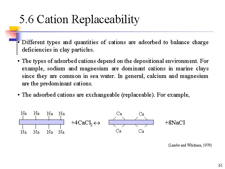 5. 6 Cation Replaceability • Different types and quantities of cations are adsorbed to 5. 6 Cation Replaceability • Different types and quantities of cations are adsorbed to