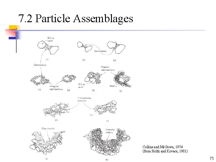 7. 2 Particle Assemblages Collins and Mc. Gown, 1974 (from Holtz and Kovacs, 1981) 7. 2 Particle Assemblages Collins and Mc. Gown, 1974 (from Holtz and Kovacs, 1981)
