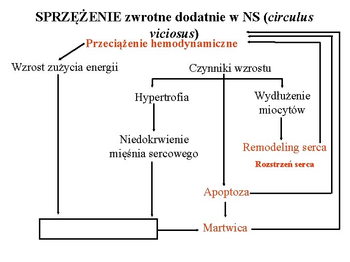 SPRZĘŻENIE zwrotne dodatnie w NS (circulus viciosus) Przeciążenie hemodynamiczne Wzrost zużycia energii Czynniki wzrostu