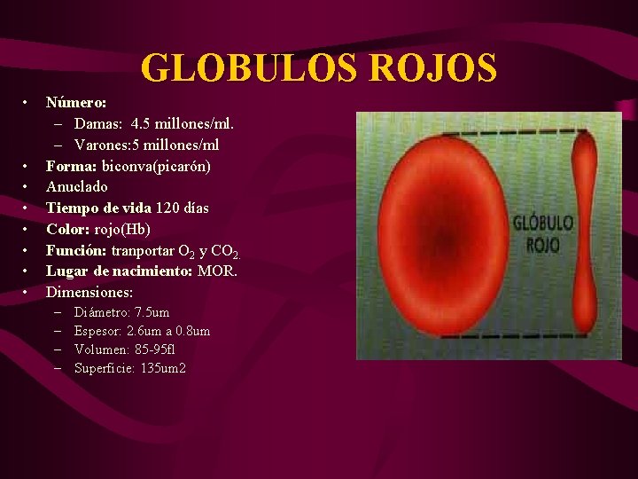 GLOBULOS ROJOS • • Número: – Damas: 4. 5 millones/ml. – Varones: 5 millones/ml