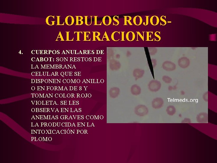 GLOBULOS ROJOSALTERACIONES 4. CUERPOS ANULARES DE CABOT: SON RESTOS DE CABOT: LA MEMBRANA CELULAR