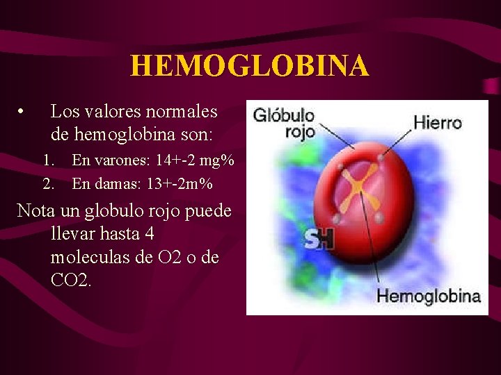 HEMOGLOBINA • Los valores normales de hemoglobina son: 1. En varones: 14+-2 mg% 2.