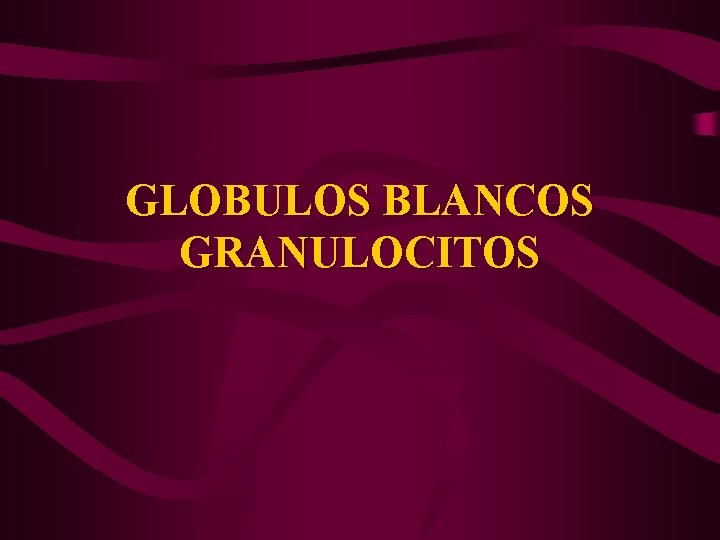 GLOBULOS BLANCOS GRANULOCITOS 