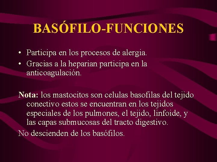 BASÓFILO-FUNCIONES • Participa en los procesos de alergia. • Gracias a la heparian participa