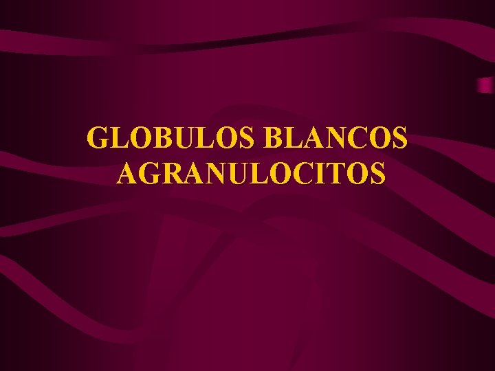 GLOBULOS BLANCOS AGRANULOCITOS 