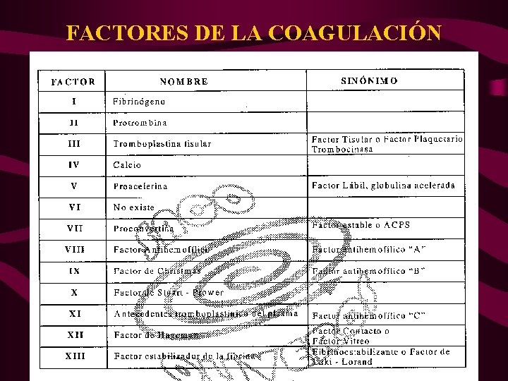 FACTORES DE LA COAGULACIÓN 