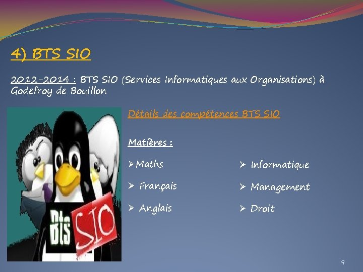 4) BTS SIO 2012 -2014 : BTS SIO (Services Informatiques aux Organisations) à Godefroy