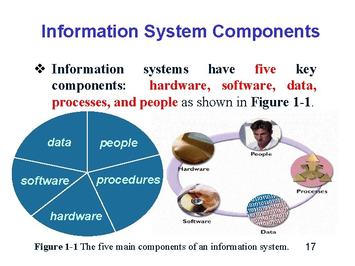 Information System Components v Information systems have five key components: hardware, software, data, processes, Information System Components v Information systems have five key components: hardware, software, data, processes,