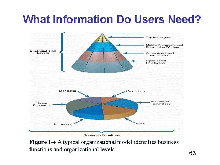 What Information Do Users Need? Figure 1 -4 A typical organizational model identifies business What Information Do Users Need? Figure 1 -4 A typical organizational model identifies business