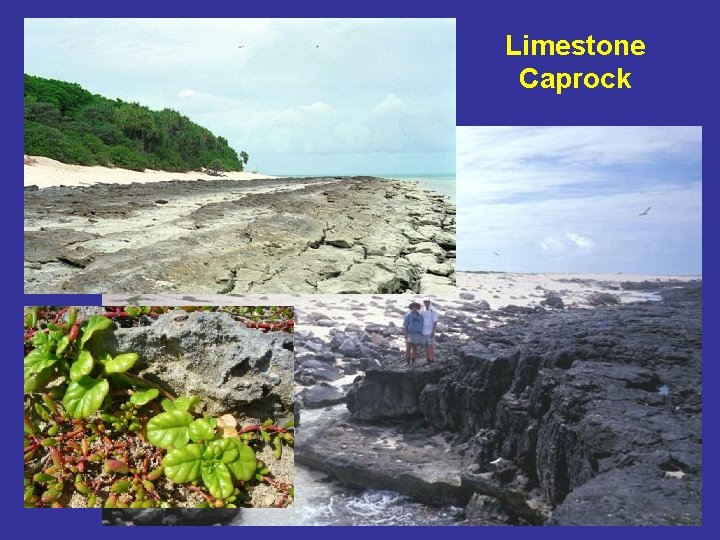 Limestone Caprock 