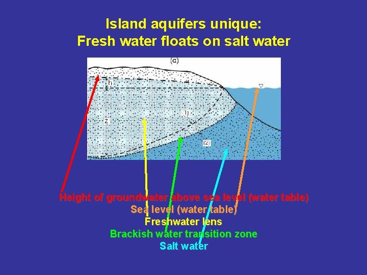 Island aquifers unique: Fresh water floats on salt water Height of groundwater above sea