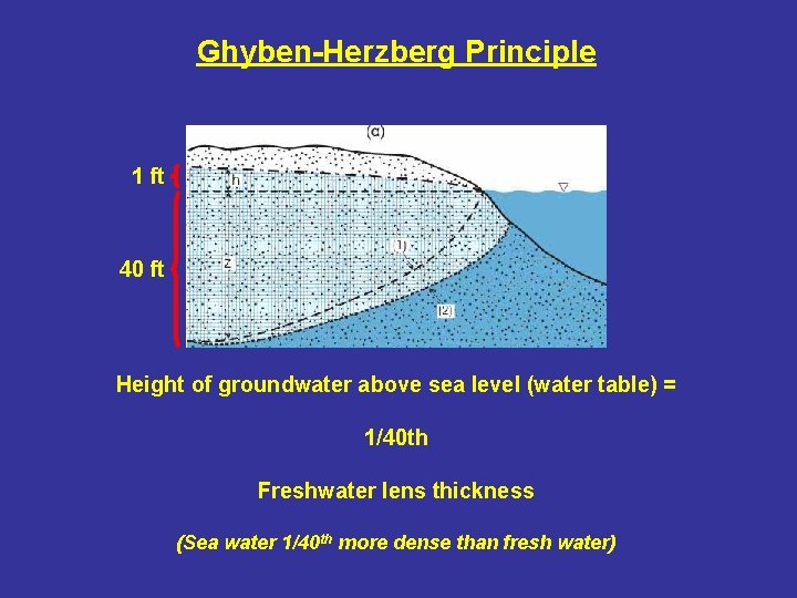 Ghyben-Herzberg Principle 1 ft 40 ft Height of groundwater above sea level (water table)