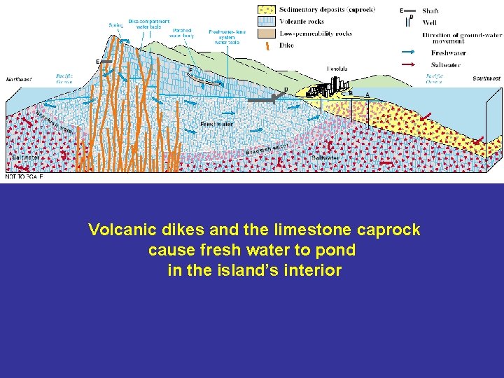Volcanic dikes and the limestone caprock cause fresh water to pond in the island’s