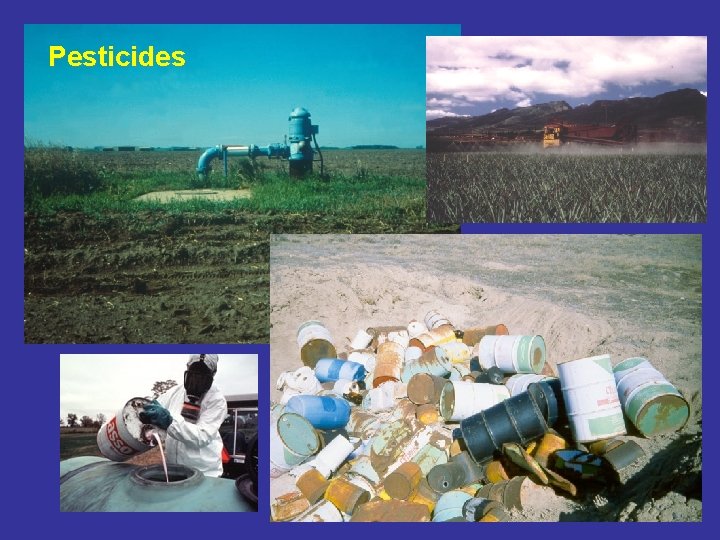 Pesticides 