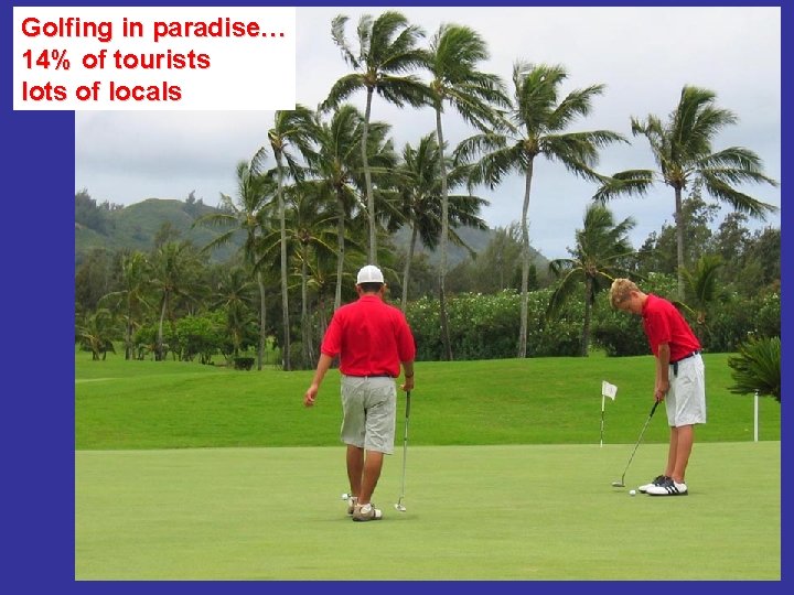 Golfing in paradise… 14% of tourists lots of locals 