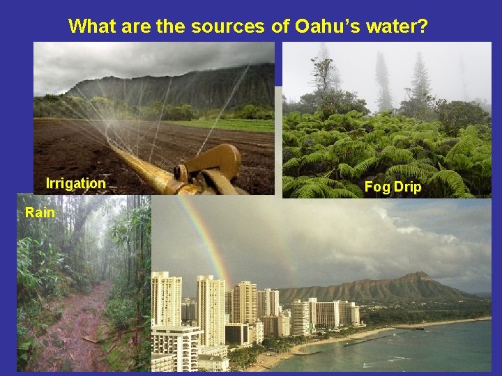 What are the sources of Oahu’s water? Irrigation Rain Fog Drip 