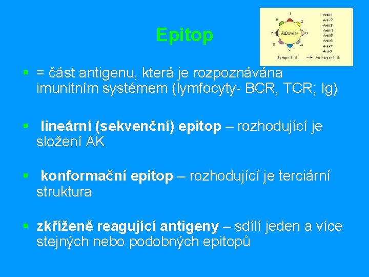 Epitop § = část antigenu, která je rozpoznávána imunitním systémem (lymfocyty- BCR, TCR; Ig)