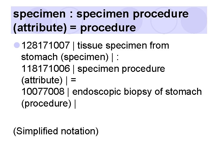 specimen : specimen procedure (attribute) = procedure l 128171007 | tissue specimen from stomach