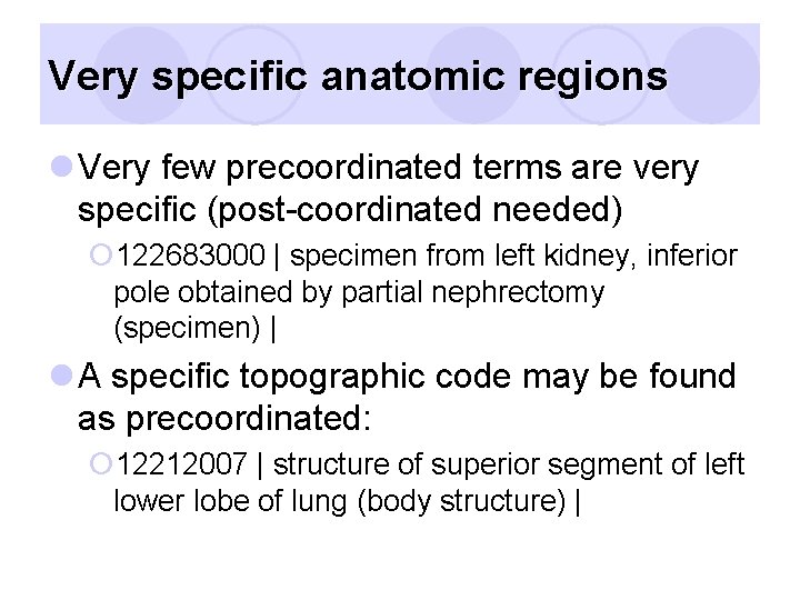 Very specific anatomic regions l Very few precoordinated terms are very specific (post-coordinated needed)