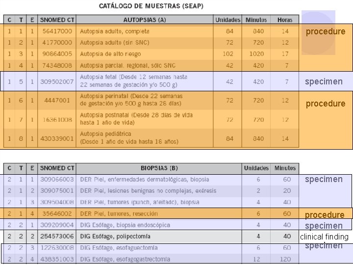 procedure specimen clinical finding specimen 