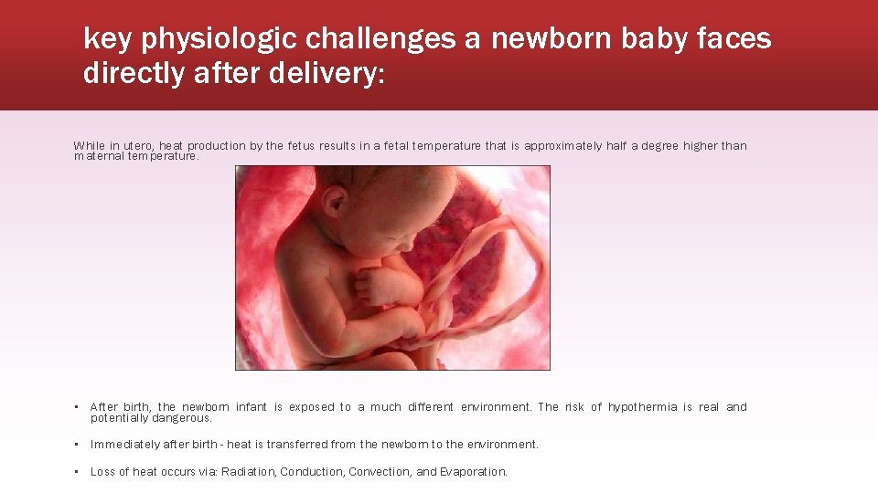 key physiologic challenges a newborn baby faces directly after delivery: While in utero, heat