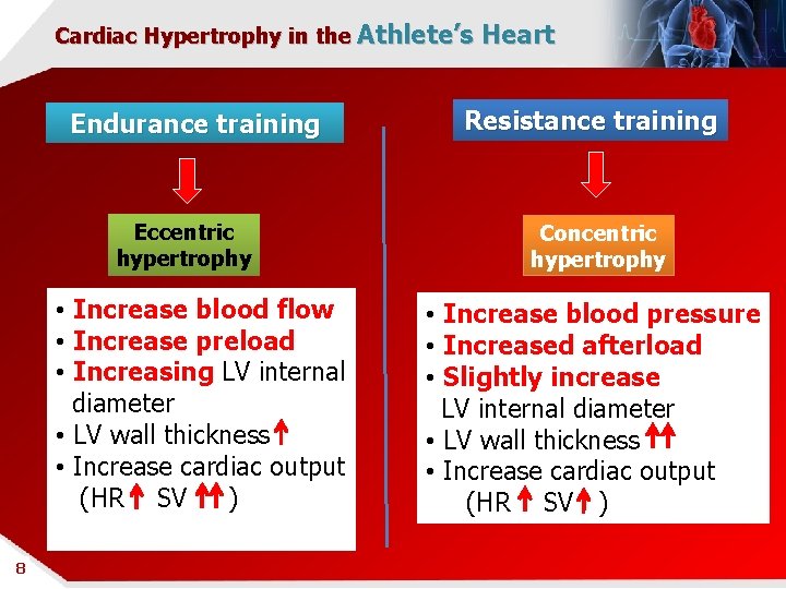 Cardiac Hypertrophy in the Athlete’s Heart Endurance training Eccentric hypertrophy • Increase blood flow