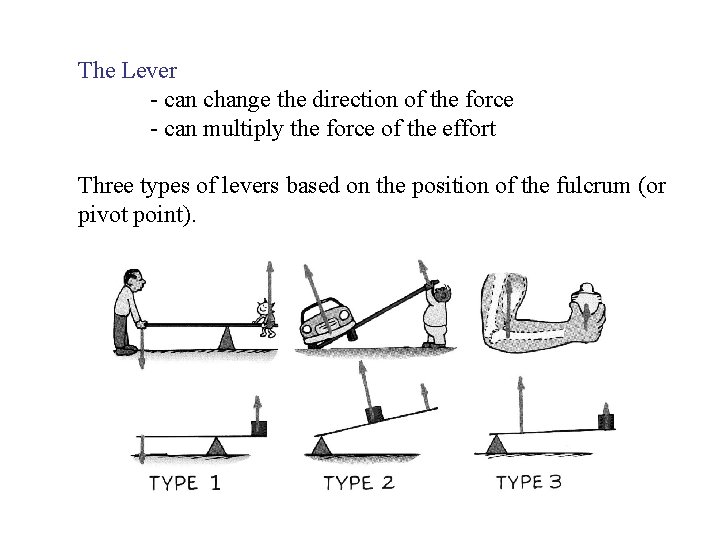 The Lever - can change the direction of the force - can multiply the