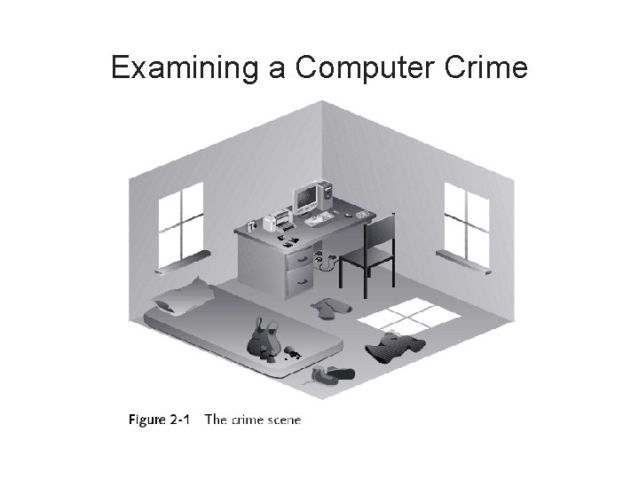 Examining a Computer Crime 