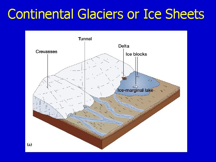 Continental Glaciers or Ice Sheets 