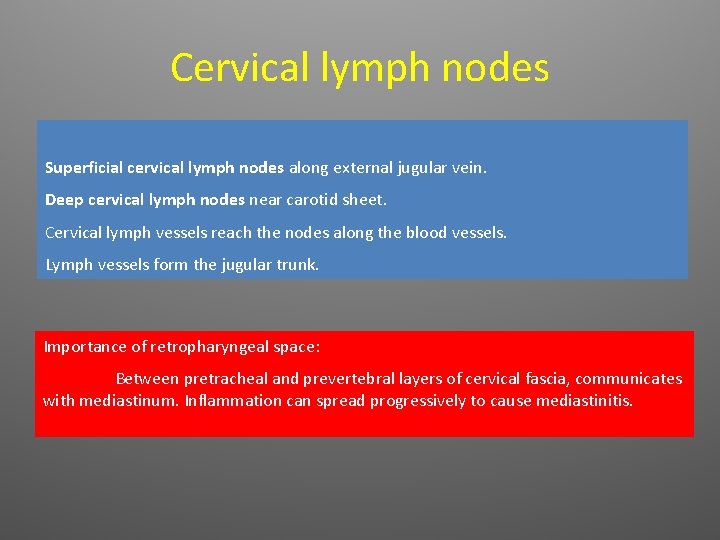 Cervical lymph nodes Superficial cervical lymph nodes along external jugular vein. Deep cervical lymph