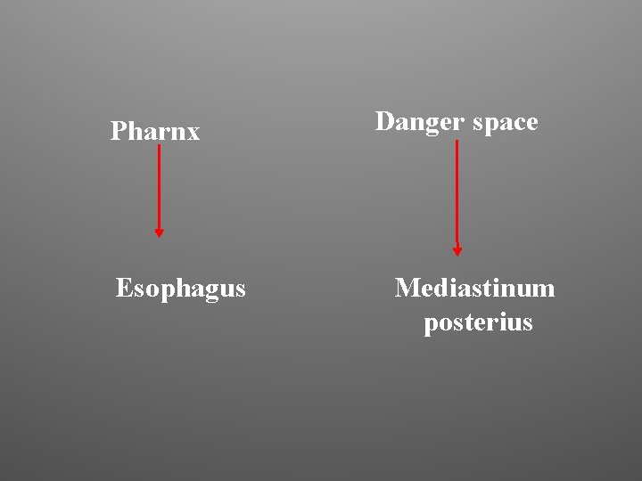 Pharnx Esophagus Danger space Mediastinum posterius 