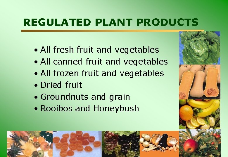 REGULATED PLANT PRODUCTS • All fresh fruit and vegetables • All canned fruit and