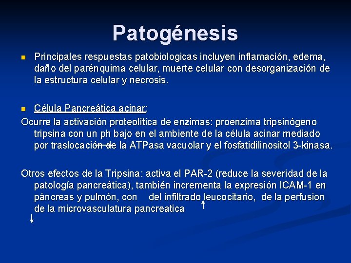 Patogénesis n Principales respuestas patobiologicas incluyen inflamación, edema, daño del parénquima celular, muerte celular