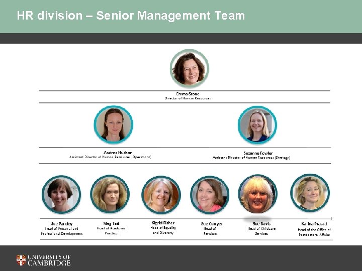 HR division – Senior Management Team 