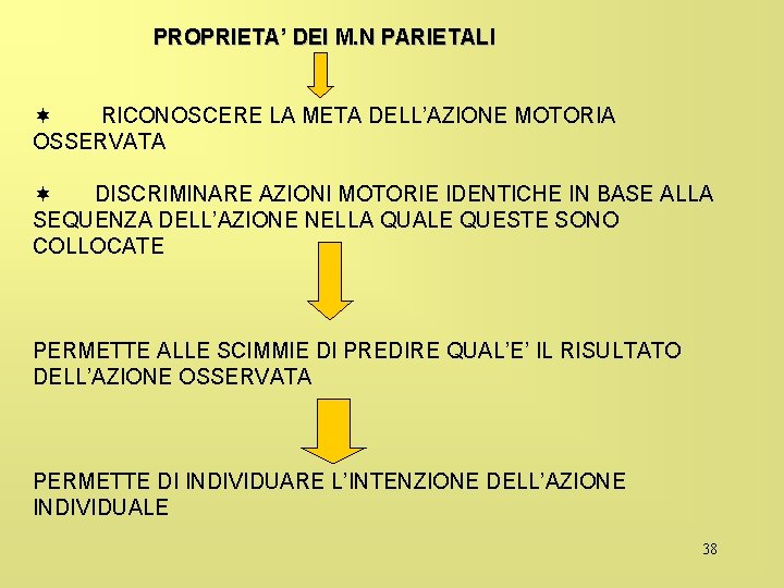 PROPRIETA’ DEI M. N PARIETALI ¬ RICONOSCERE LA META DELL’AZIONE MOTORIA OSSERVATA ¬ DISCRIMINARE