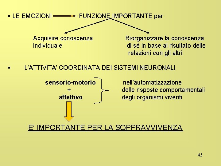 § LE EMOZIONI FUNZIONE IMPORTANTE per Acquisire conoscenza individuale § Riorganizzare la conoscenza di