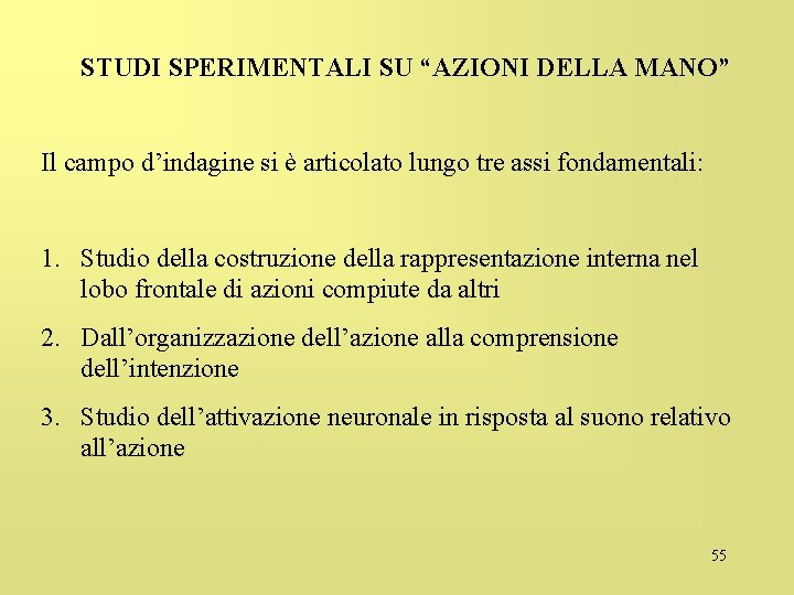 STUDI SPERIMENTALI SU “AZIONI DELLA MANO” Il campo d’indagine si è articolato lungo tre