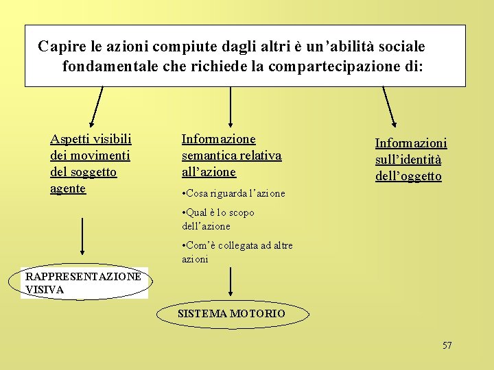 Capire le azioni compiute dagli altri è un’abilità sociale fondamentale che richiede la compartecipazione