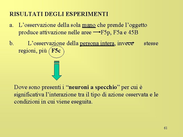 RISULTATI DEGLI ESPERIMENTI a. L’osservazione della sola mano che prende l’oggetto produce attivazione nelle