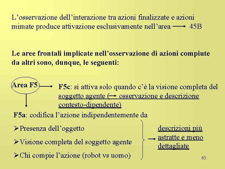 L’osservazione dell’interazione tra azioni finalizzate e azioni mimate produce attivazione esclusivamente nell’area 45 B