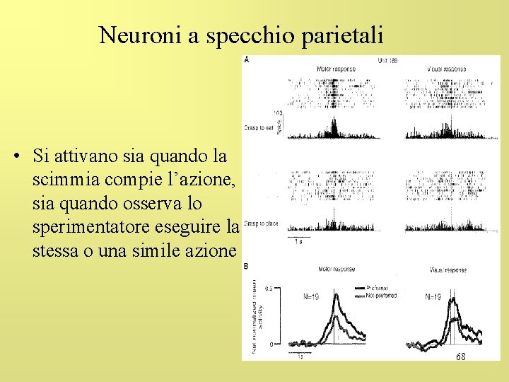 Neuroni a specchio parietali • Si attivano sia quando la scimmia compie l’azione, sia