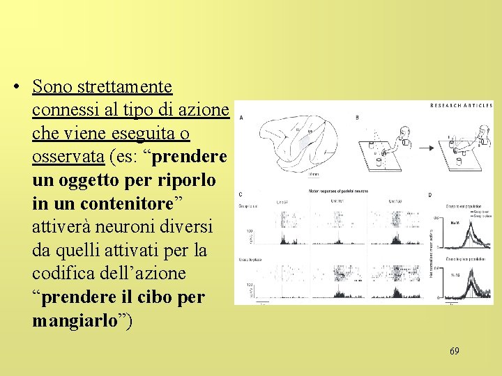  • Sono strettamente connessi al tipo di azione che viene eseguita o osservata