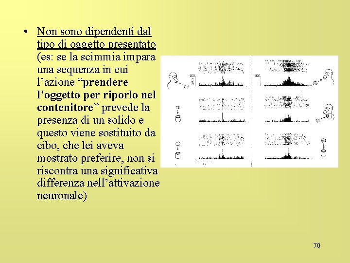  • Non sono dipendenti dal tipo di oggetto presentato (es: se la scimmia