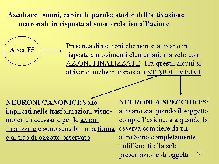 Ascoltare i suoni, capire le parole: studio dell’attivazione neuronale in risposta al suono relativo