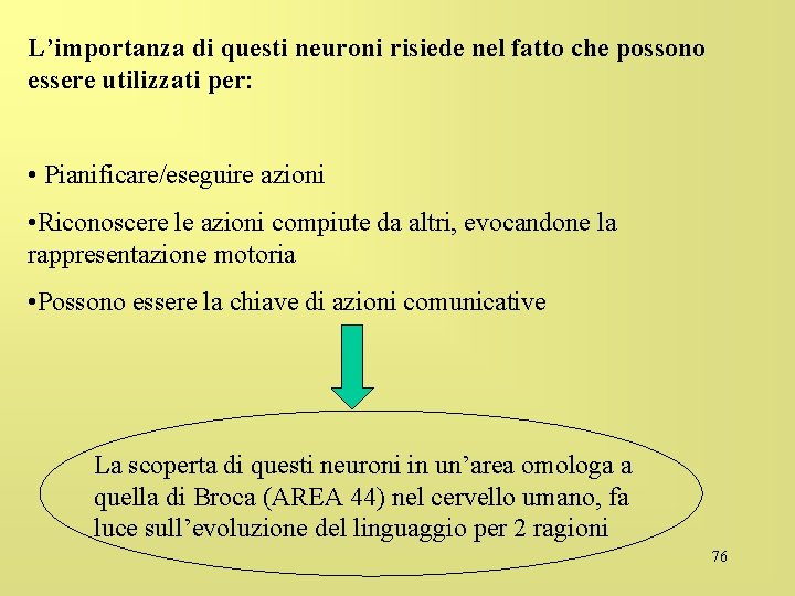 L’importanza di questi neuroni risiede nel fatto che possono essere utilizzati per: • Pianificare/eseguire