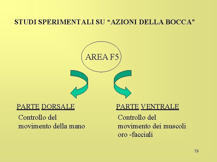 STUDI SPERIMENTALI SU “AZIONI DELLA BOCCA” AREA F 5 PARTE DORSALE Controllo del movimento