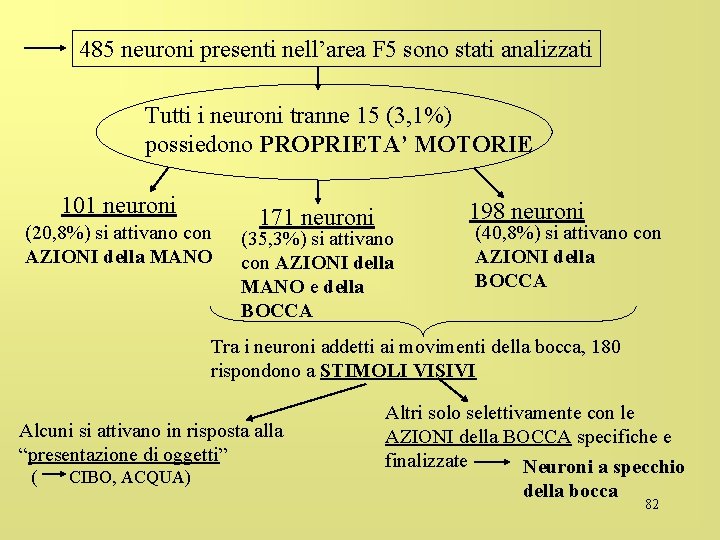 485 neuroni presenti nell’area F 5 sono stati analizzati Tutti i neuroni tranne 15